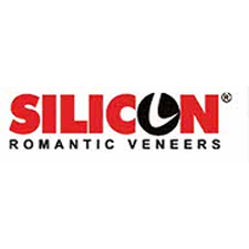 Silicon